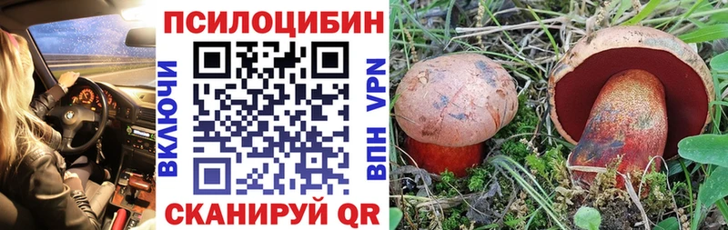 mega ссылки  наркошоп  Озёры  Псилоцибиновые грибы мицелий 