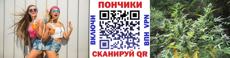 Шишки марихуана OG Kush  Озёры 